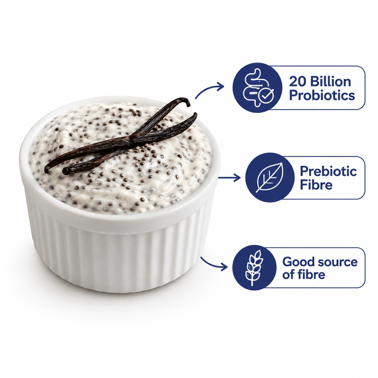 Probiotic Pudding